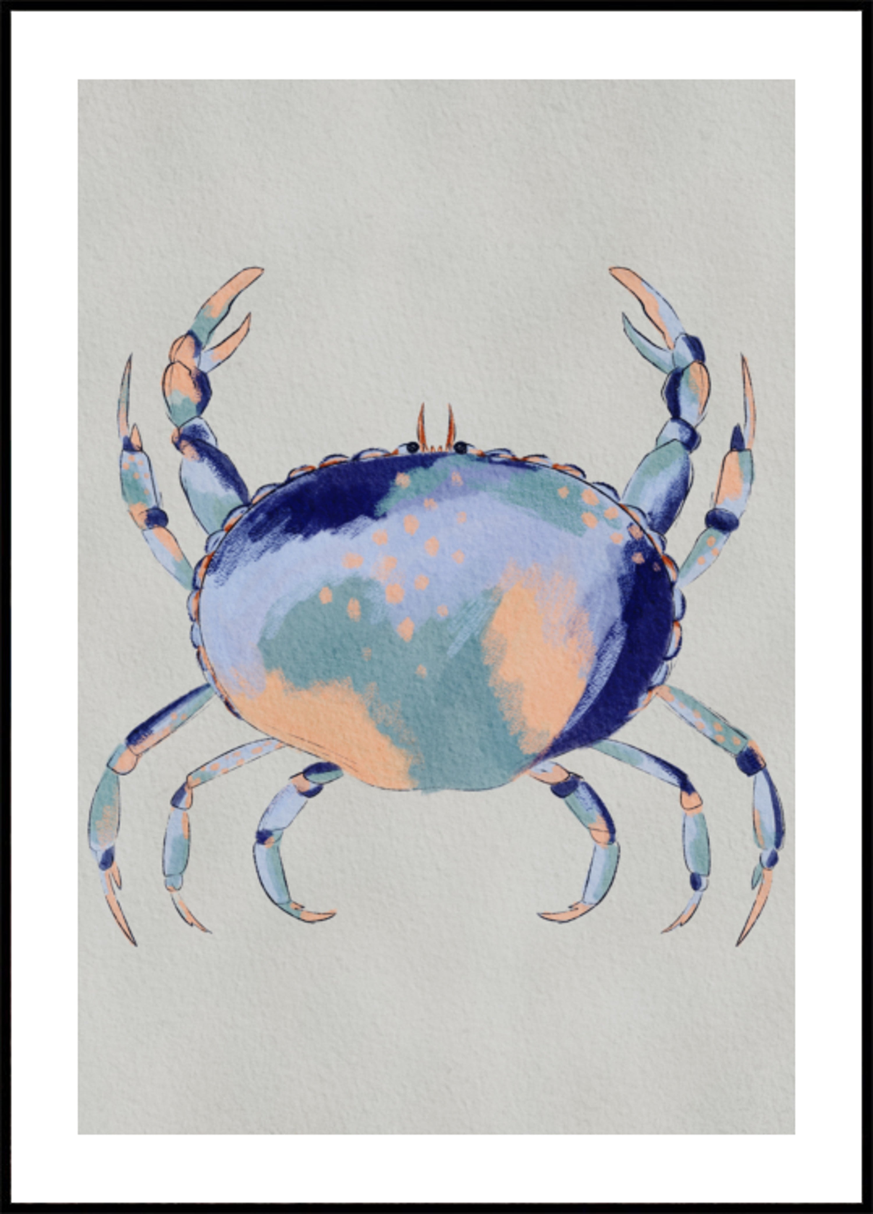 Spokojny Niebieski Krab