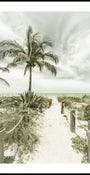 Tropical Beach Pathway