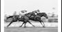 Dynamic Horse Race
