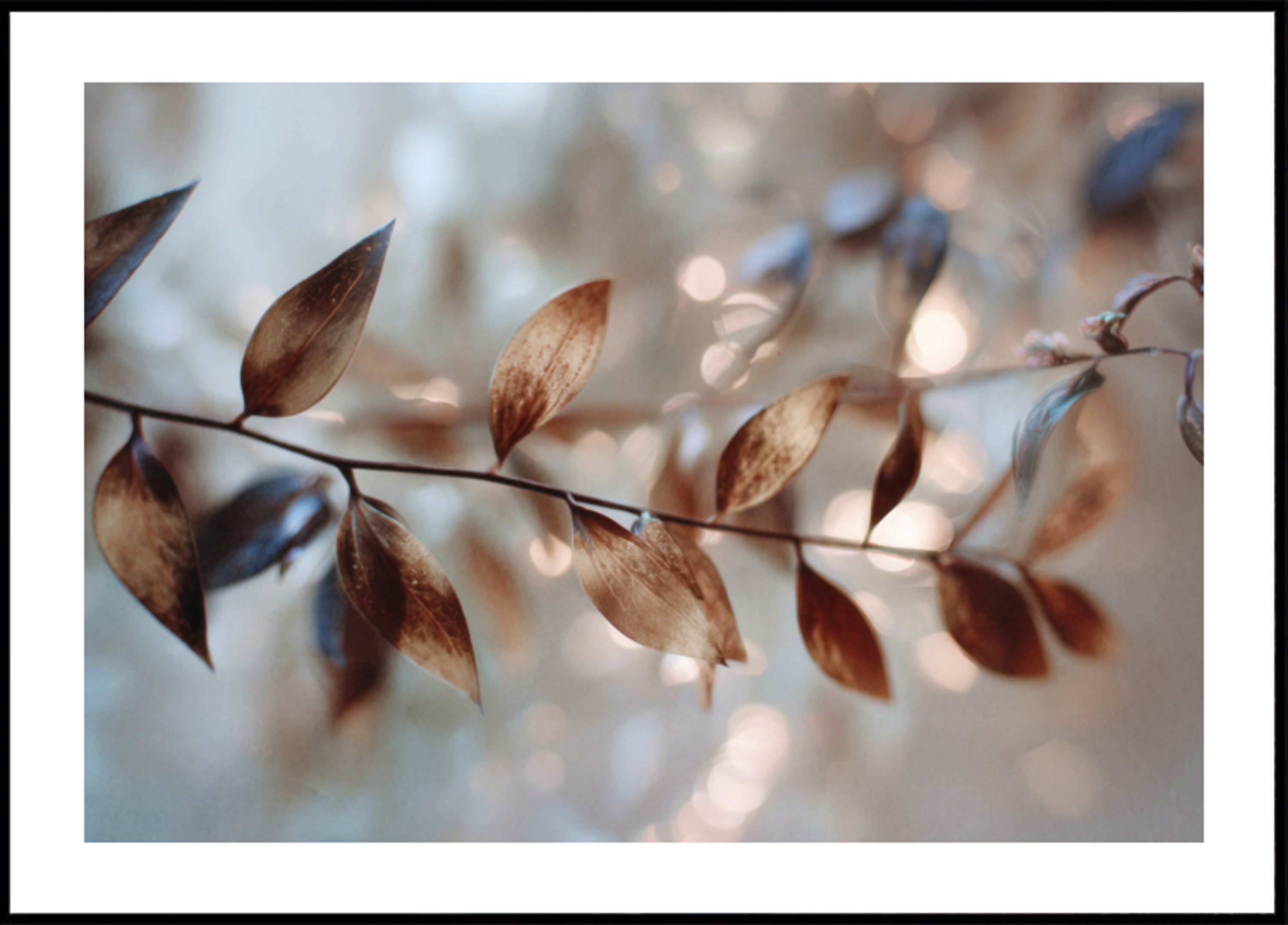 Delikatne liście Bokeh