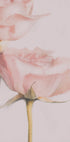 Two Roses Plakat - Posterbox
