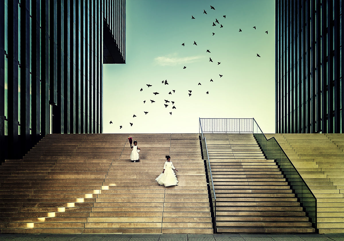 Free like a bird... - Posterbox