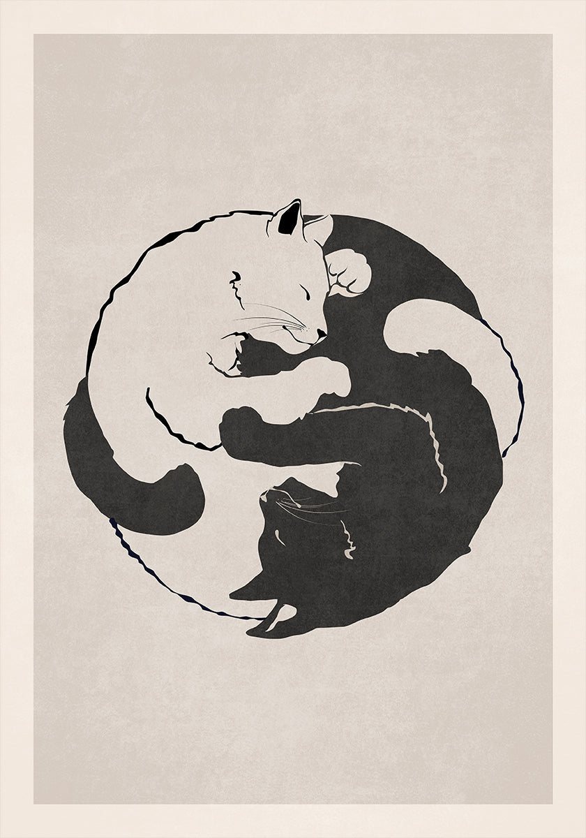 Feline Harmony Plakat - Posterbox