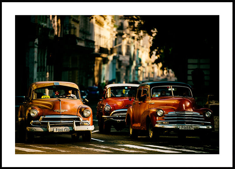 Come with me in the morning light - Posterbox
