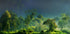 Painting of  Nature - Posterbox