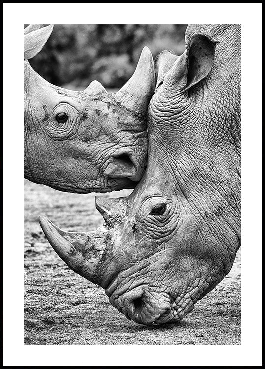 Face to face - Posterbox