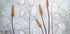 Lunaria Plakat - Posterbox