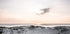 At The Coast 1X Plakat - Posterbox