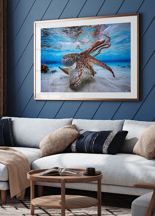 Plakat tańczącej ośmiornicy