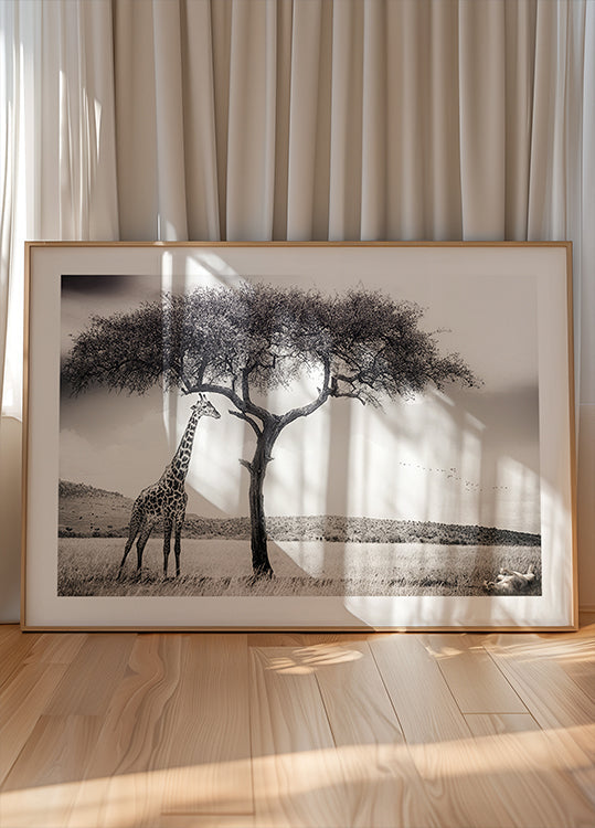 plakat pod afrykańskim słońcem