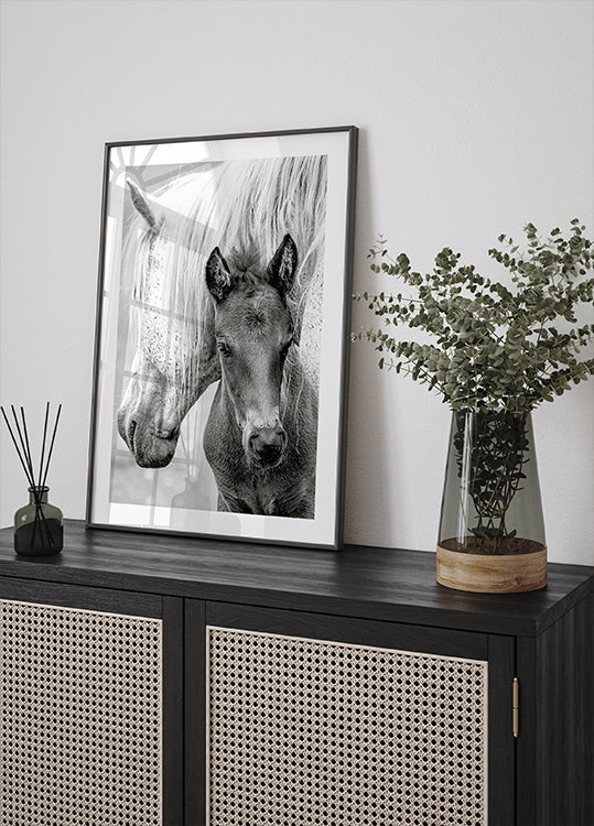 The Foal Plakat