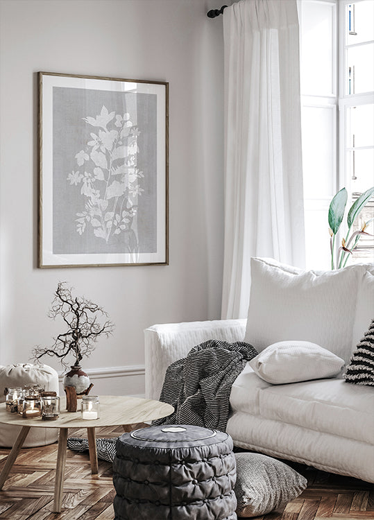 Ilustracja botaniczna 2 Plakat