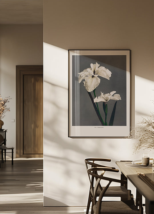 Plakat Iris Kæmpferi