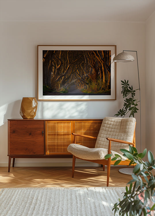 Ciemne żywopłoty w porannym słońcu