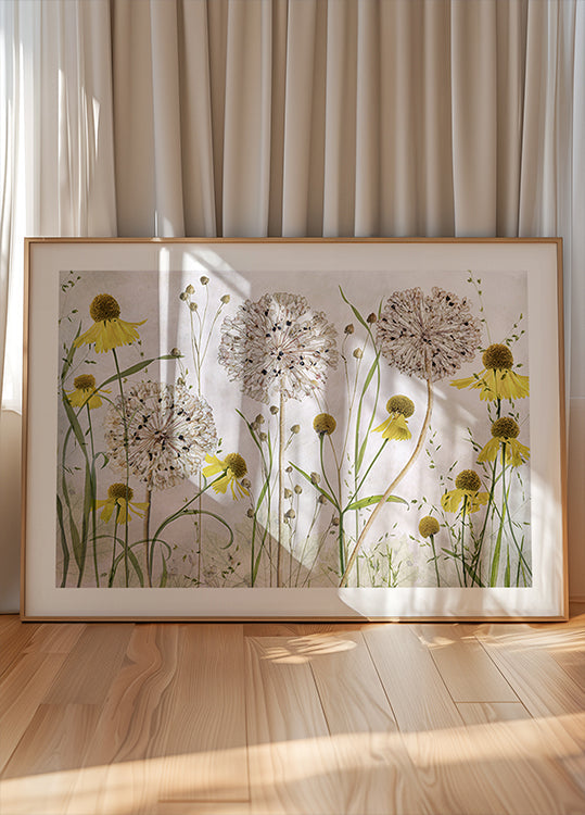 Plakat Alliums i Heleniums