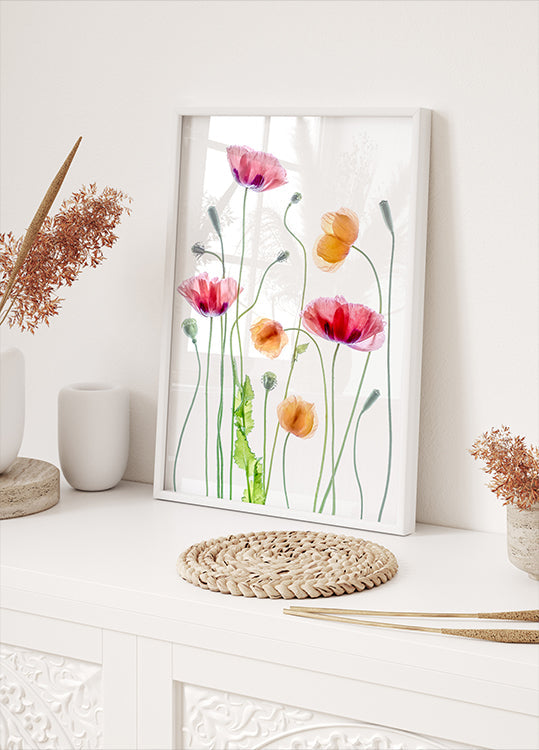 Plakat Maki