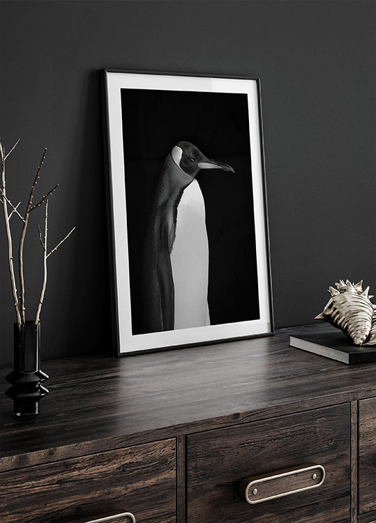 Plakat Pana Pingwina