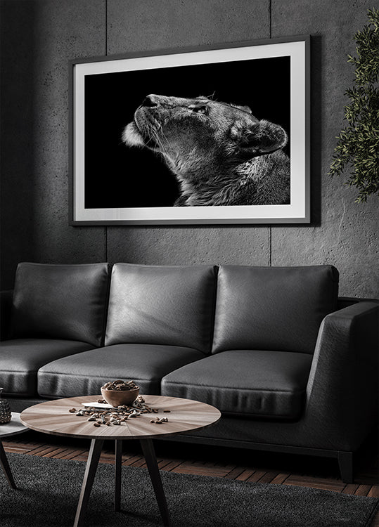 Patrząc w górę plakat