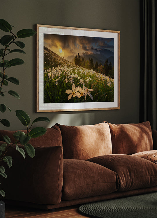 Plakat z białym dywanem