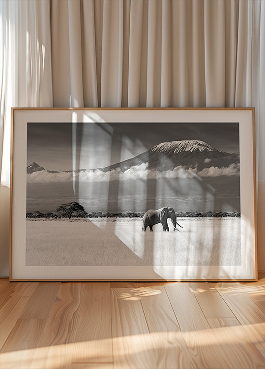 Plakat Utracone kolory II