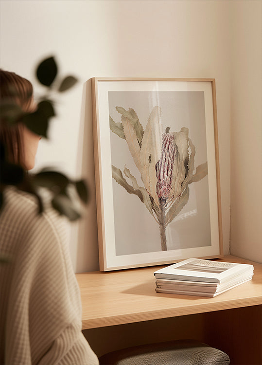 Banksia