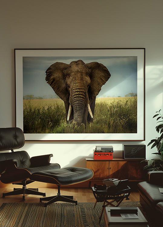Spotkania w Serengeti