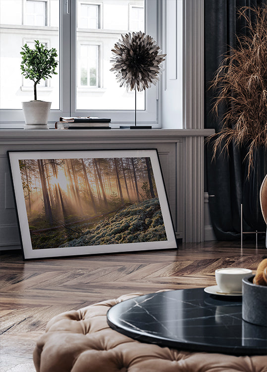 Plakat Mgła w lesie z białym mchem na pierwszym planie