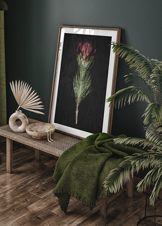 Plakat Protea Serenity