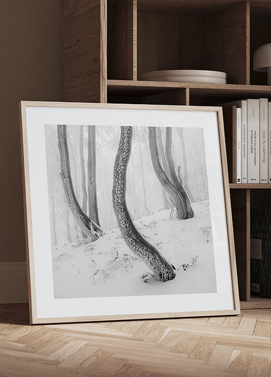 Plakaty Zamrożonego Lasu