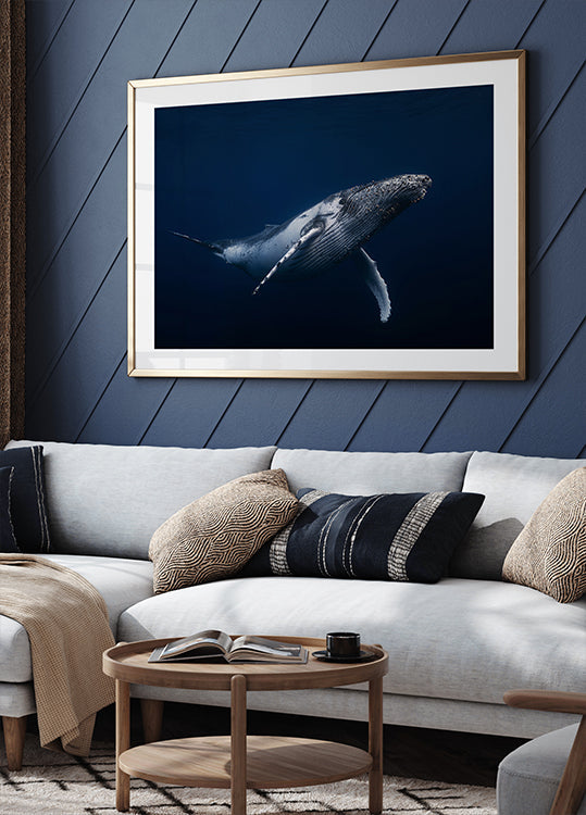 Plakat Humbak w kolorze niebieskim
