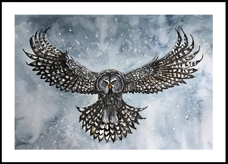 great grey owl Plakat - Posterbox