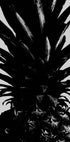 Pineapple bw - Posterbox