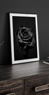 Black Rose Plakat - Posterbox.dk