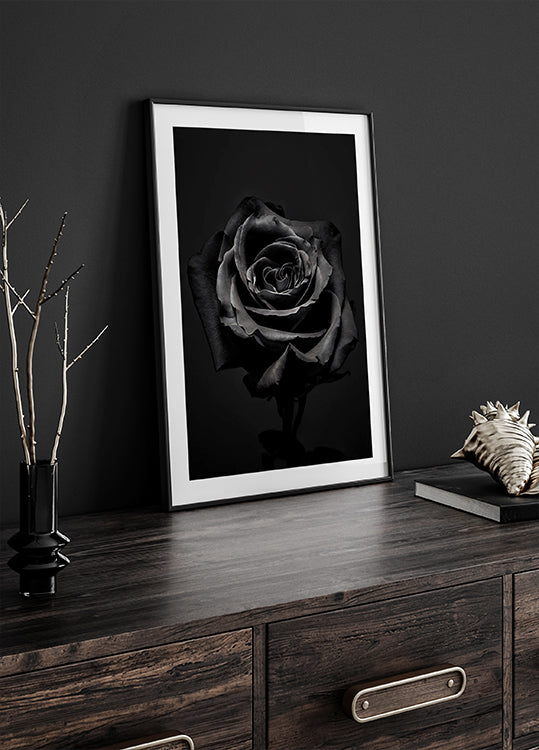 Black Rose Plakat - Posterbox.dk