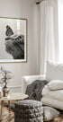 Butterfly Cat Plakat - Posterbox.dk