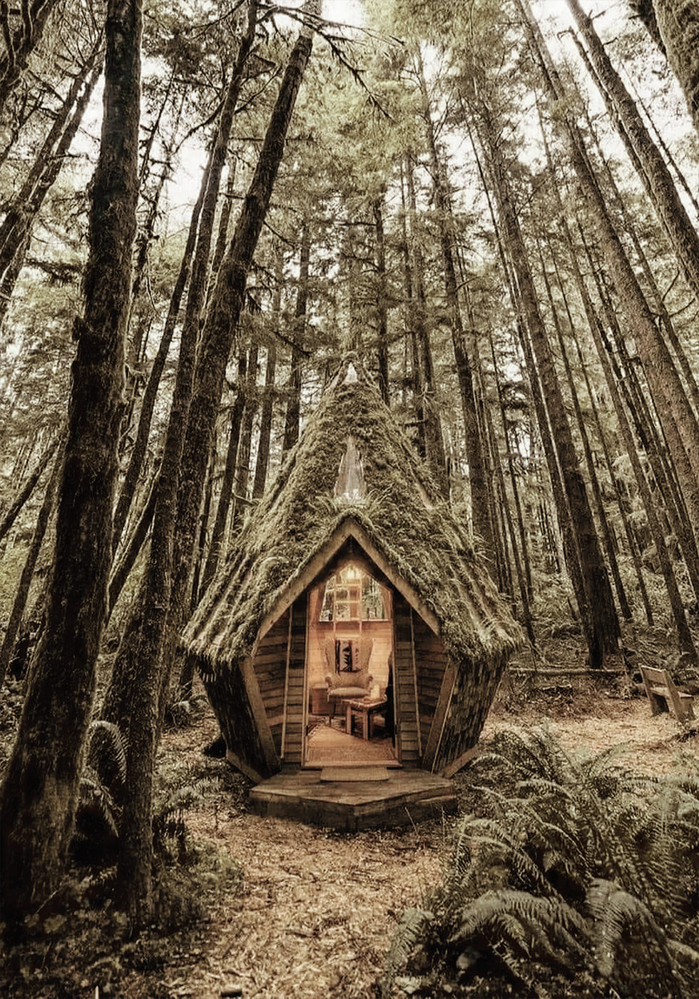 Fairy Tale Cabin in the Woods Plakat - Posterbox.dk