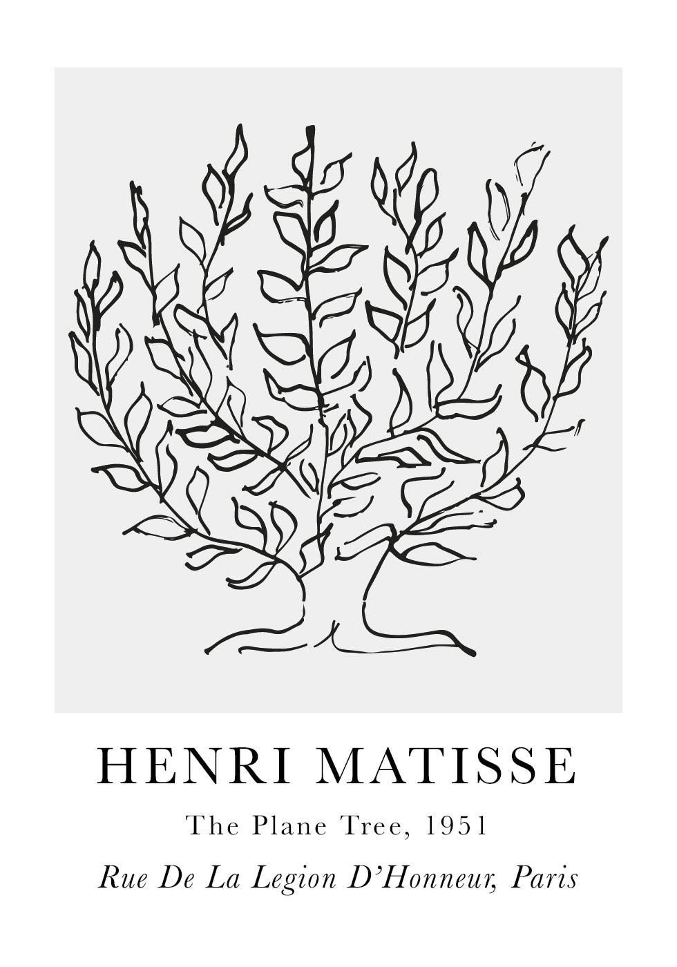 H. Matisse The Plane Tree Plakat - Posterbox.dk