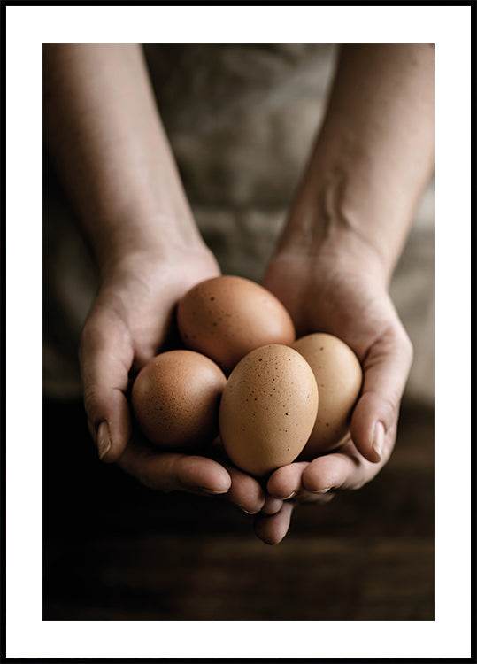 Organic Farm Eggs Plakat - Posterbox.dk