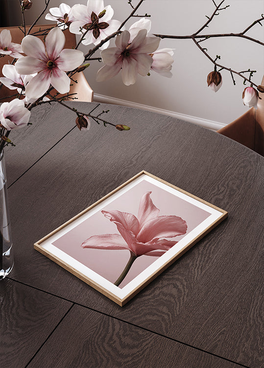 Tender Pink Lily Plakat - Posterbox.dk