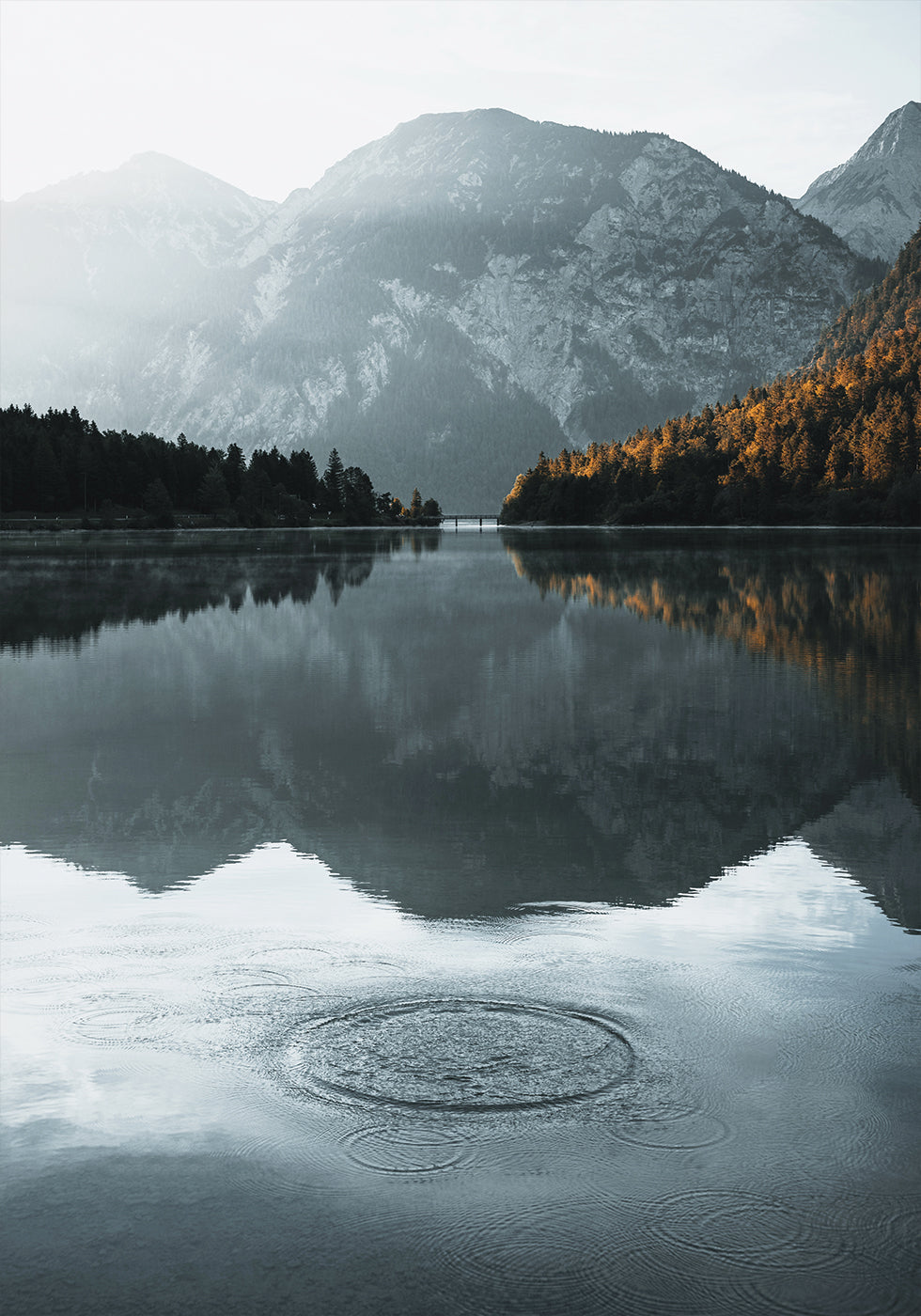 Water Ripples in the lake Plakat - Posterbox.dk