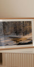 The first light - Posterbox