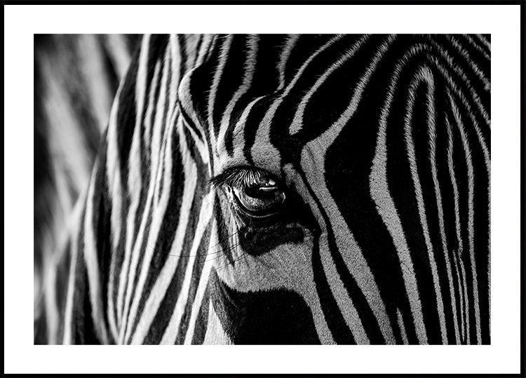 Abstract Zebra Plakat - Posterbox
