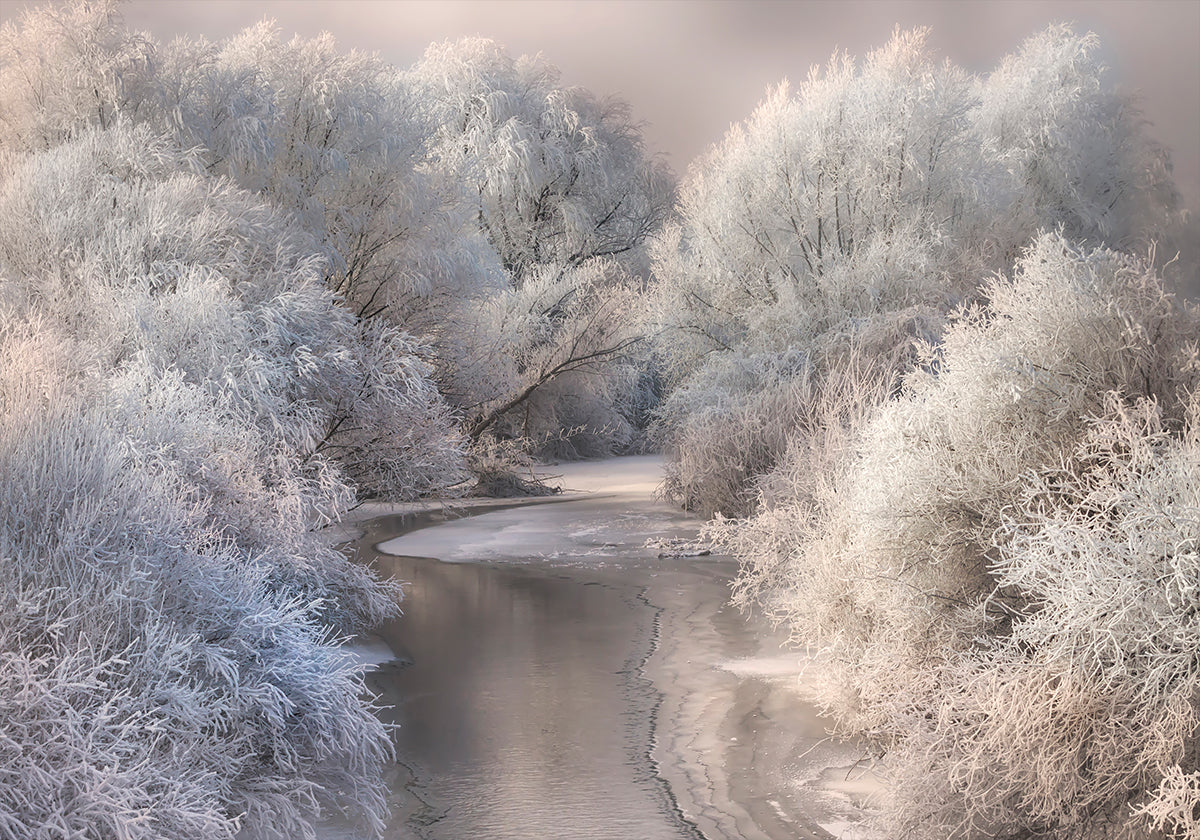 Winter Song - Posterbox