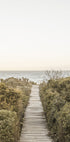 Pathway to Tranquility Plakat - Posterbox