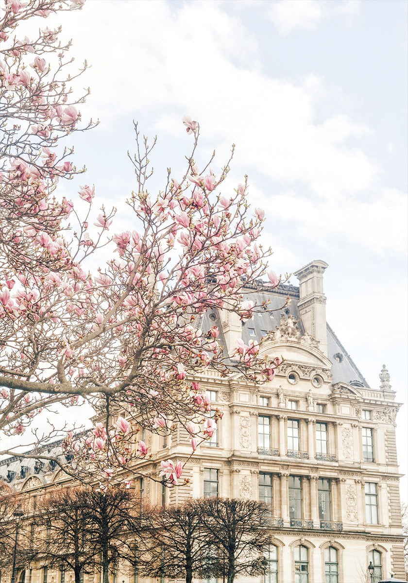 Parisspring Ratio2x3 (NEW) - Posterbox