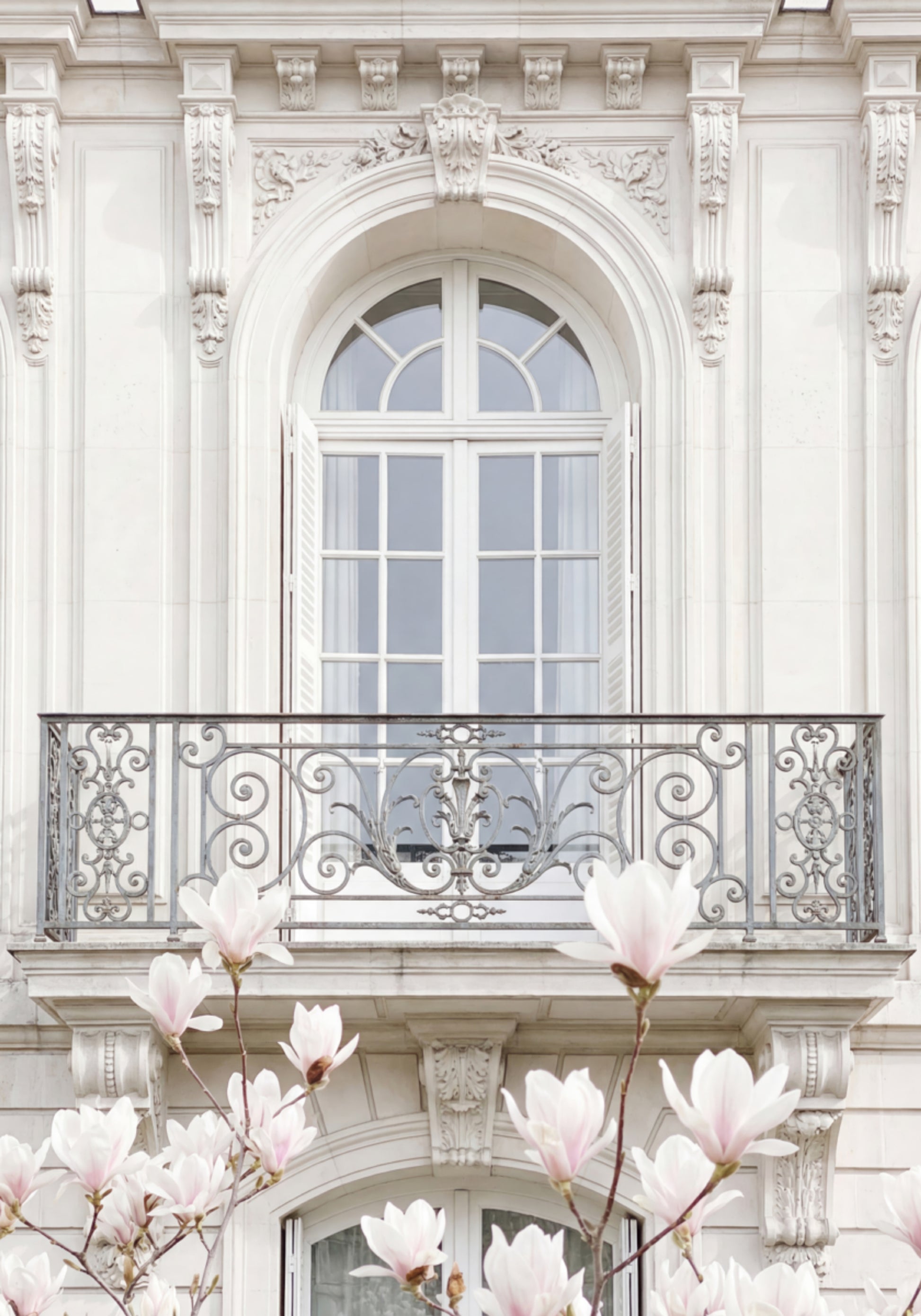 Magnolie z białą fasadą
