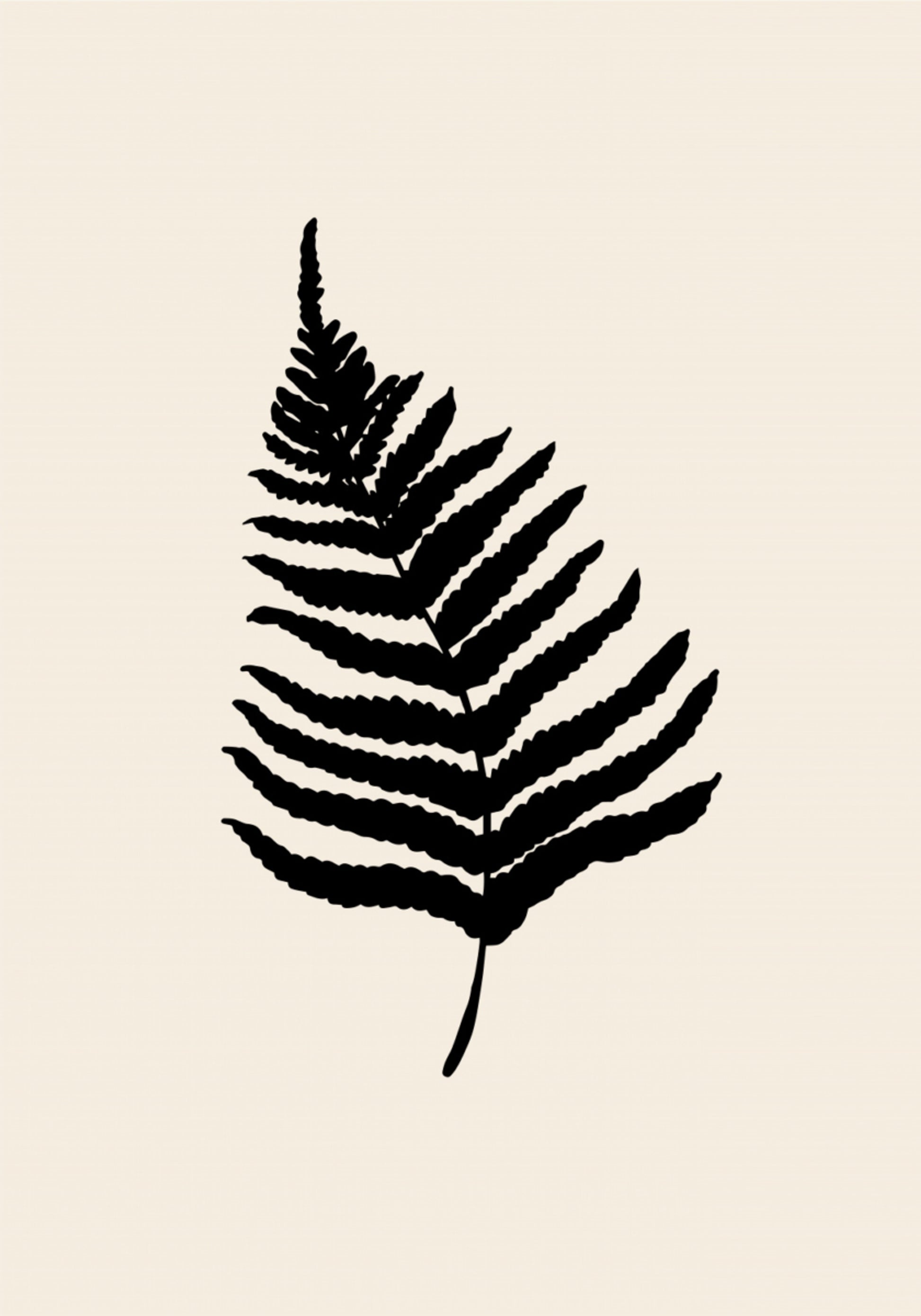 Minimalna sylwetka paproci