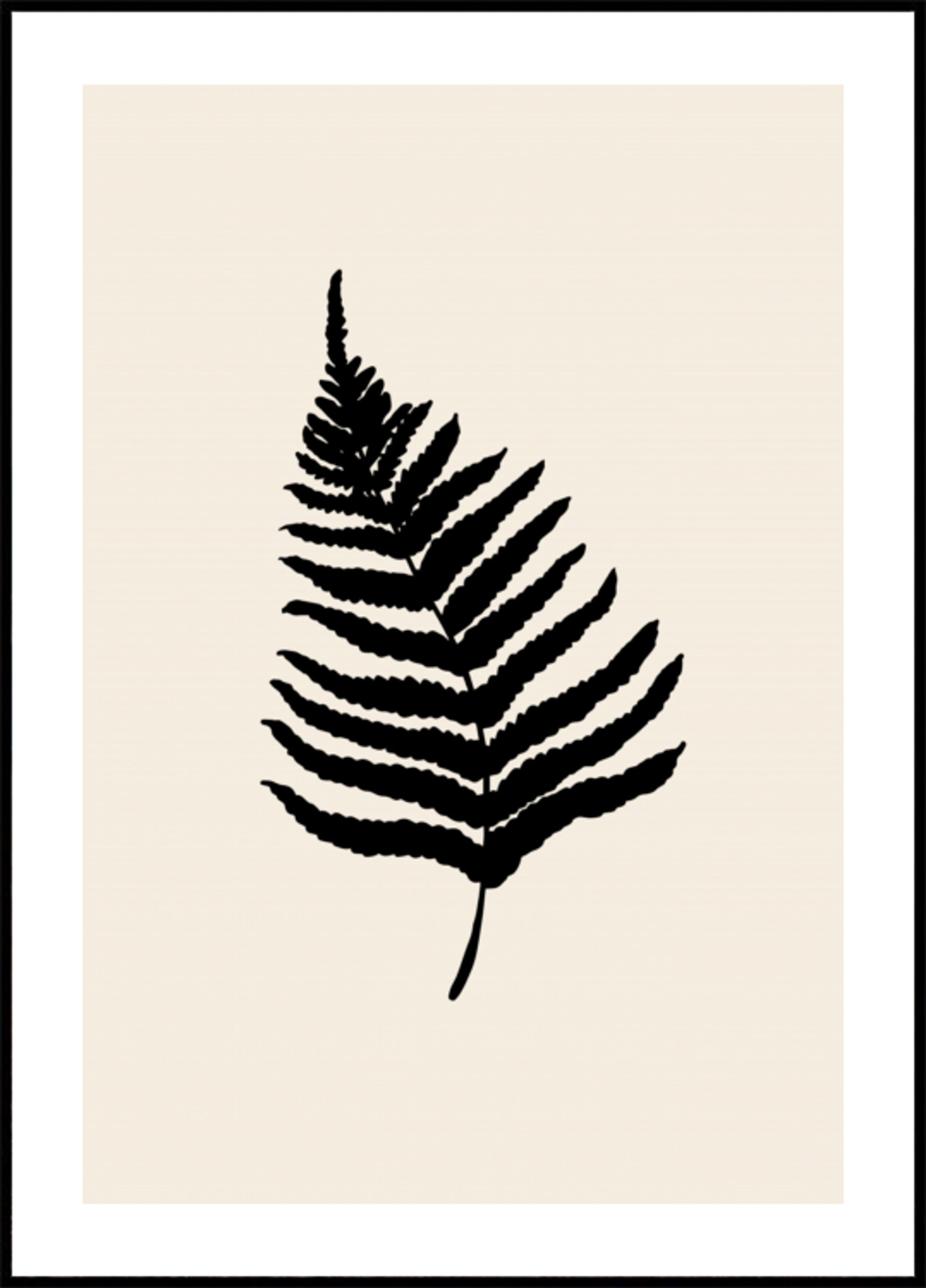 Minimalna sylwetka paproci