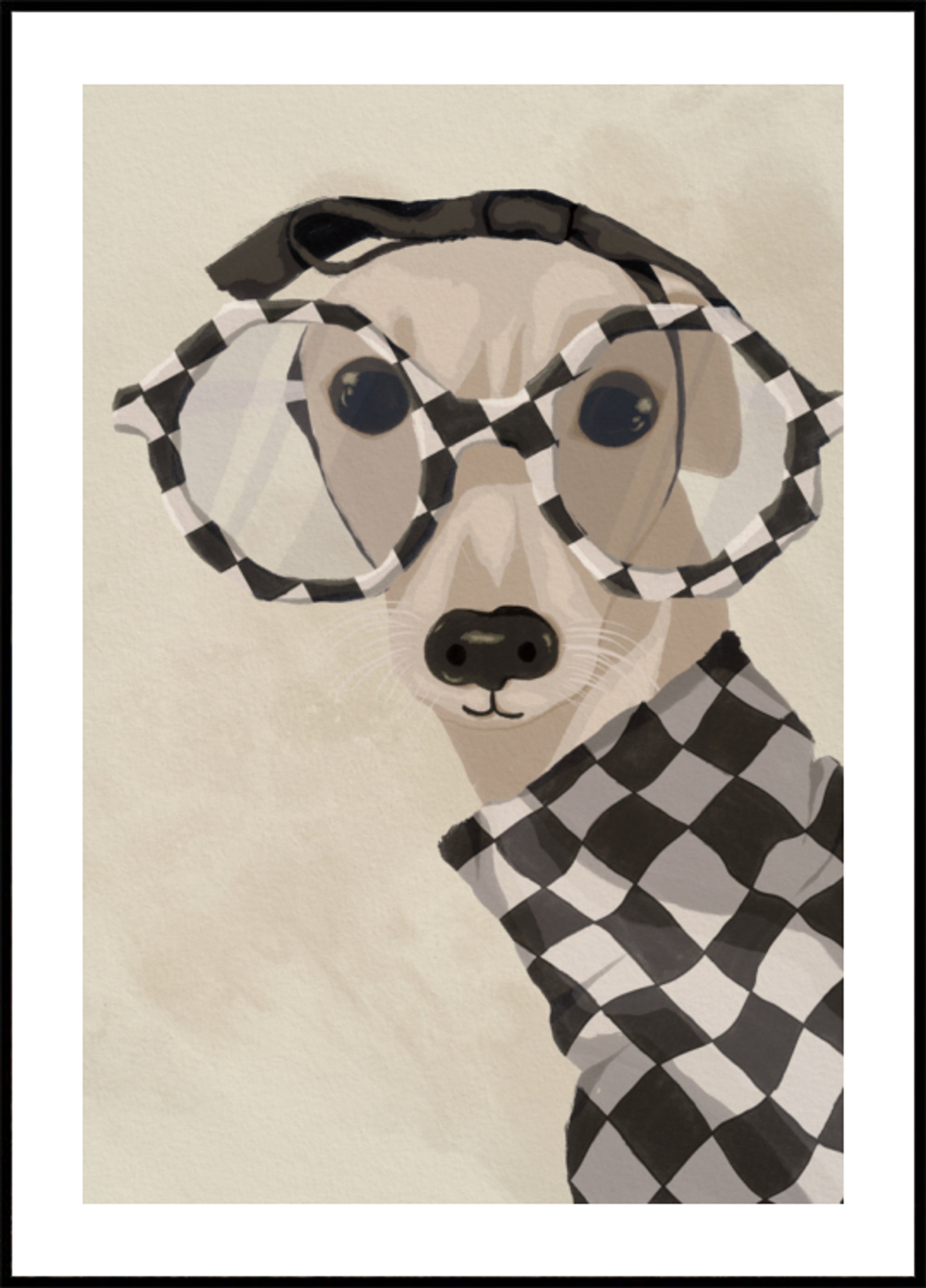 Elegancki Greyhound W Okularach