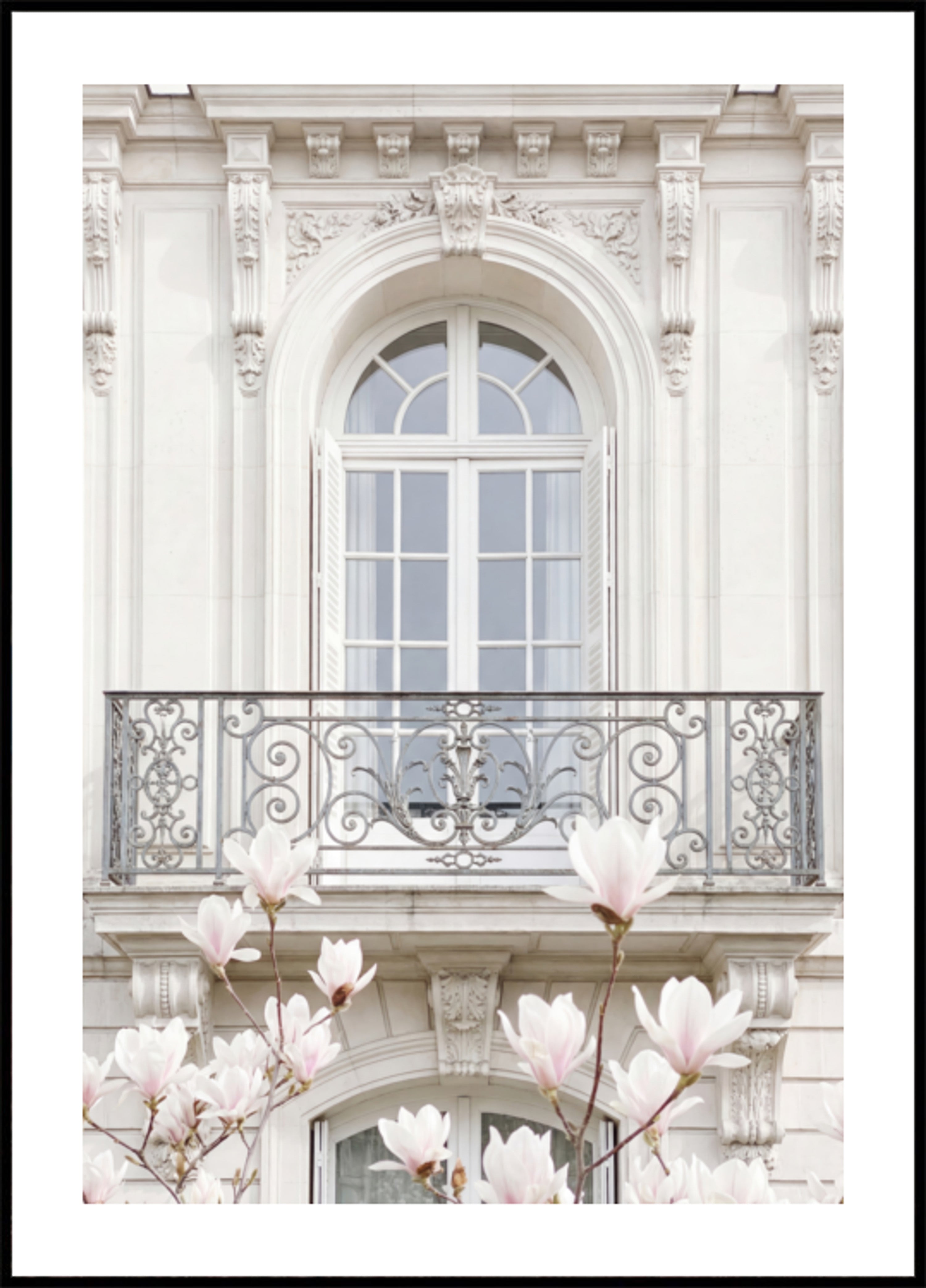 Magnolie z białą fasadą